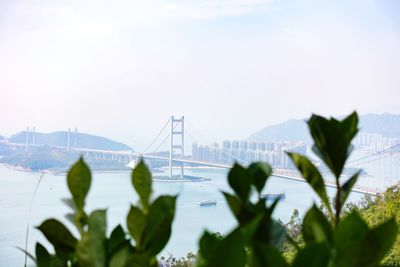 View of suspension bridge in city