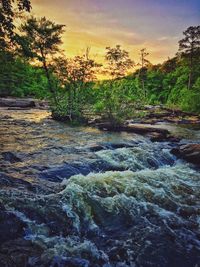 Scenic view of river in forest against sky at sunset