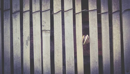 High angle view of bird on fence