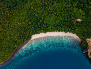 High angle view of sea amidst trees