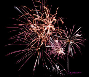 Low angle view of firework display at night