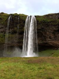 View of waterfall in forest