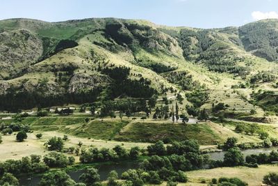 Scenic view of green landscape against sky