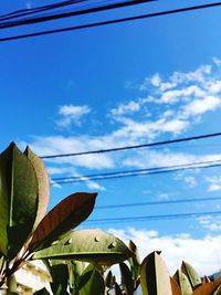 Low angle view of power lines against blue sky
