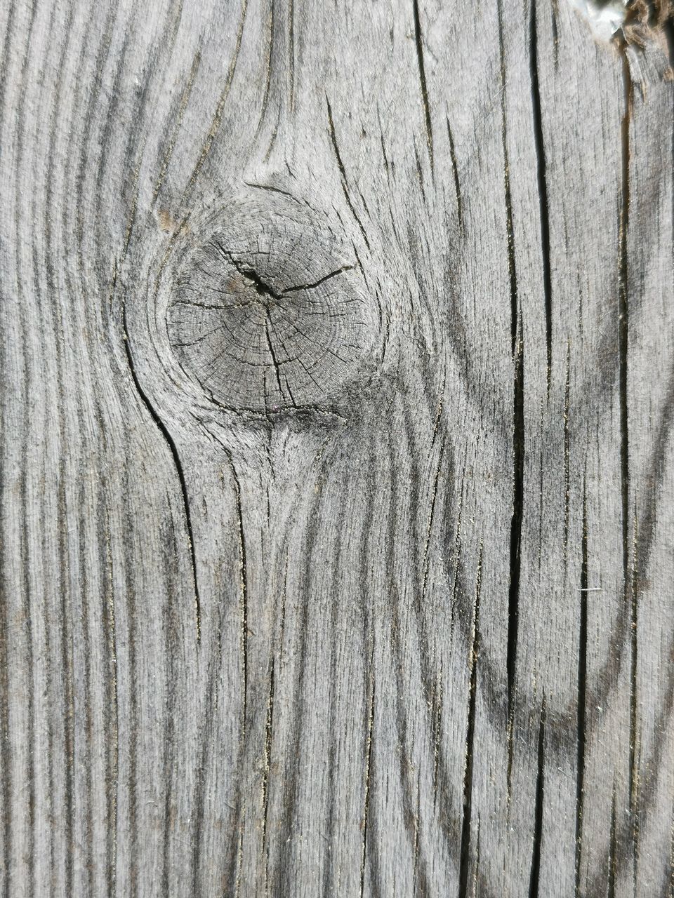 FULL FRAME SHOT OF WOODEN TREE TRUNK