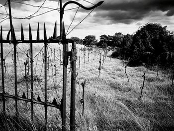 View of chainlink fence against cloudy sky