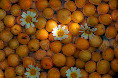 Daisies on apricots. organic apricots are washed. apricots washed with clear water.