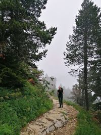 Rear view of man walking on road