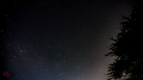 Low angle view of silhouette trees against sky at night