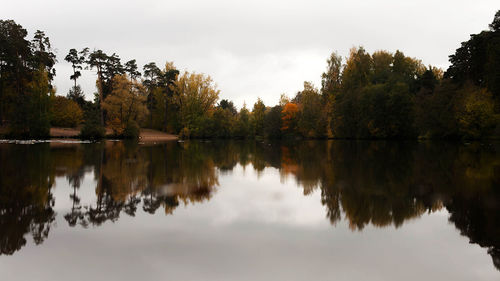 Reflection of trees in calm lake