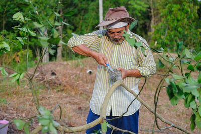 Farmer working in the garden. farmer planting lime tree . agricultural concept