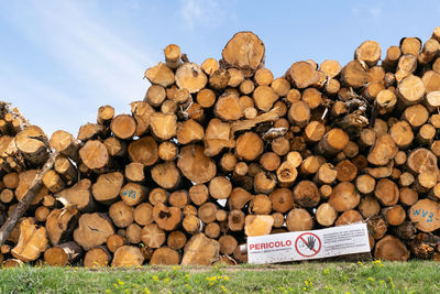 Stack of logs on field