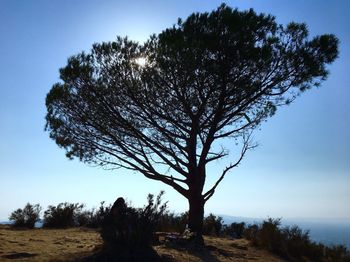 Tree by landscape against clear sky