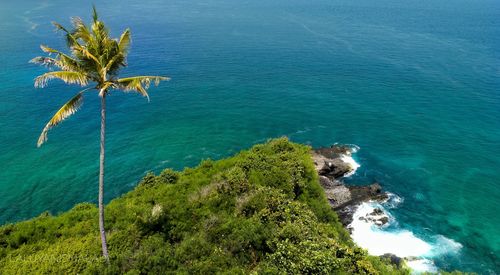 High angle view of sea and trees