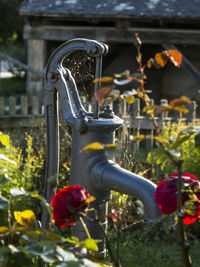 Close-up of hand pump by flowering plants in lawn