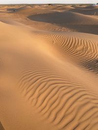 Sand dune in desert