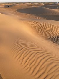 Sand dune in desert