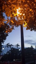 Low angle view of street light against sky at sunset