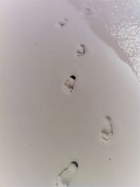 Close-up of footprints on snow