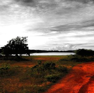 Scenic view of landscape against cloudy sky