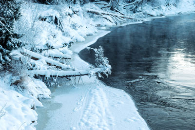 Beautiful winter cold landscape in blue tones, frost on scenic tall grass copse, winter frosty day 