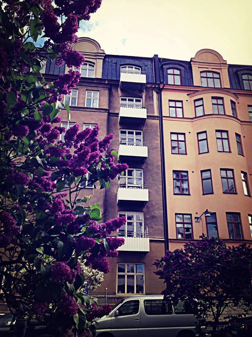 building exterior, architecture, built structure, low angle view, window, tree, residential building, growth, residential structure, building, city, branch, balcony, house, facade, apartment, day, outdoors, sky, no people