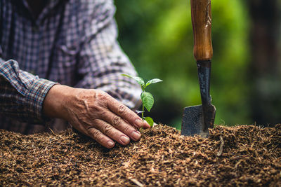 Midsection of man planting sapling in farm