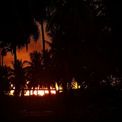 Silhouette palm trees against sky at night