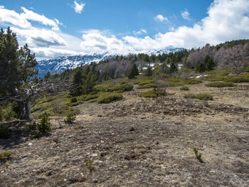 Scenic view of landscape against sky