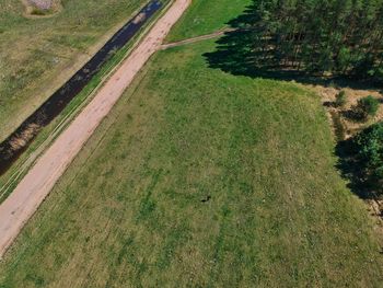 High angle view of grassy field