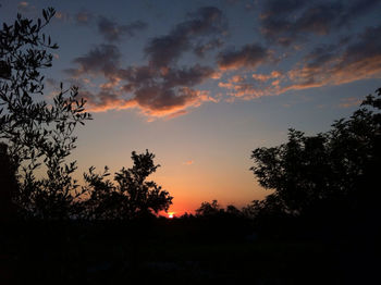 Silhouette of trees against cloudy sky