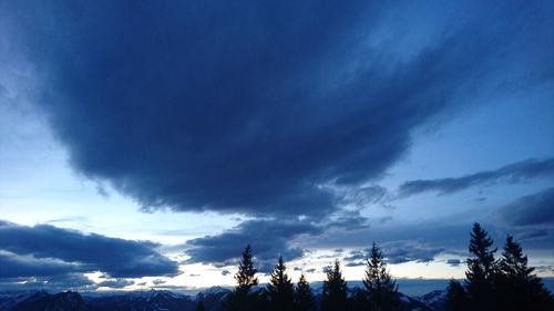 Low angle view of trees against cloudy sky