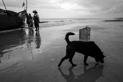 Man with dog standing on beach against sky