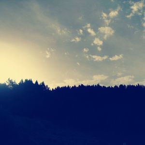 Silhouette trees in forest against sky