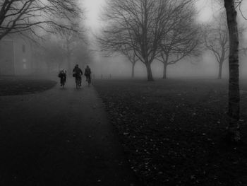 Rear view of silhouette people driving bicycle on road in foggy weather