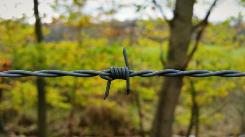 Close-up of barbed wire fence on field