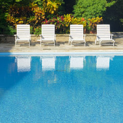 View of swimming pool against trees