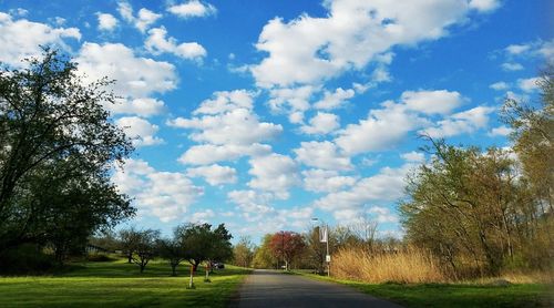 Road amidst trees on field against sky