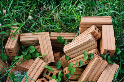 High angle view of wooden logs on field