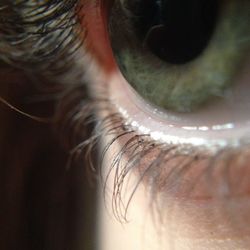 Close-up of human eye