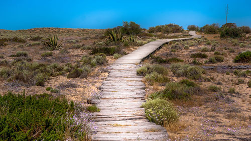 Boardwalk amidst plants on field against clear blue sky