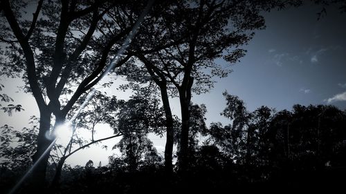 Low angle view of silhouette trees against sky