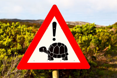 Close-up of road sign