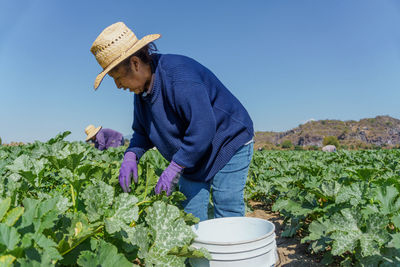 Side view of man standing in farm