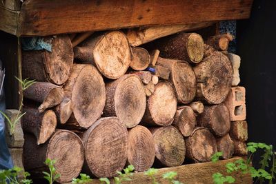 Stack of logs