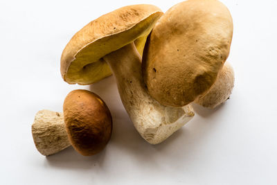 Close-up of bread against white background