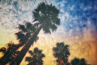 Low angle view of trees against cloudy sky