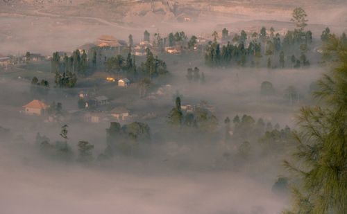 High angle view of trees and buildings against sky