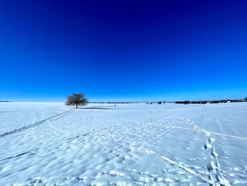 Scenic view of snow covered land against clear blue sky