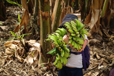 Woman standing by plants on field